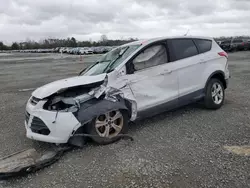 Salvage cars for sale at Lumberton, NC auction: 2015 Ford Escape SE