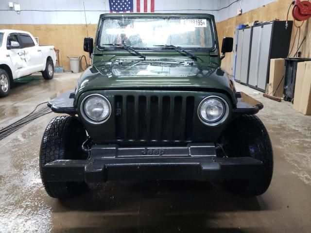 1998 Jeep Wrangler / TJ Sahara