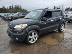 Clean Title Cars for sale at auction: 2010 KIA Soul +