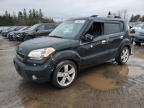 2010 KIA Soul +