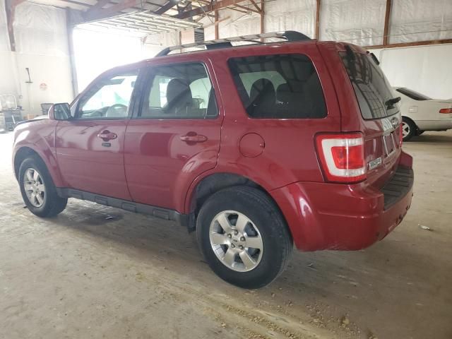 2011 Ford Escape Limited