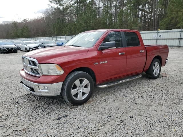 2010 Dodge RAM 1500