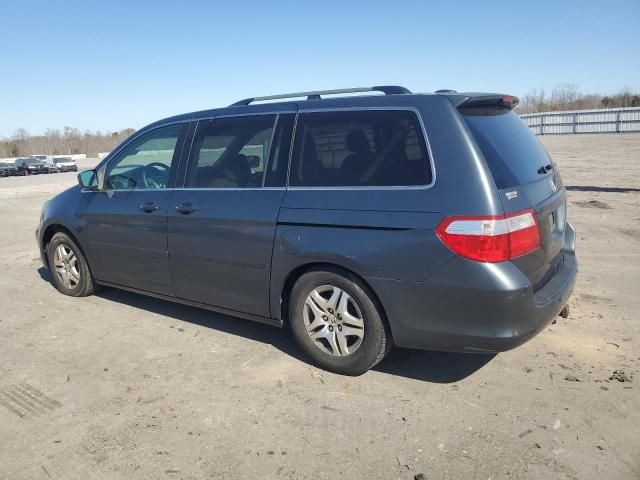 2005 Honda Odyssey EXL