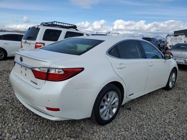 2014 Lexus ES 300H