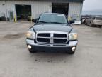 2005 Dodge Dakota SLT