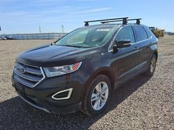 Salvage cars for sale at Brighton, CO auction: 2015 Ford Edge SEL