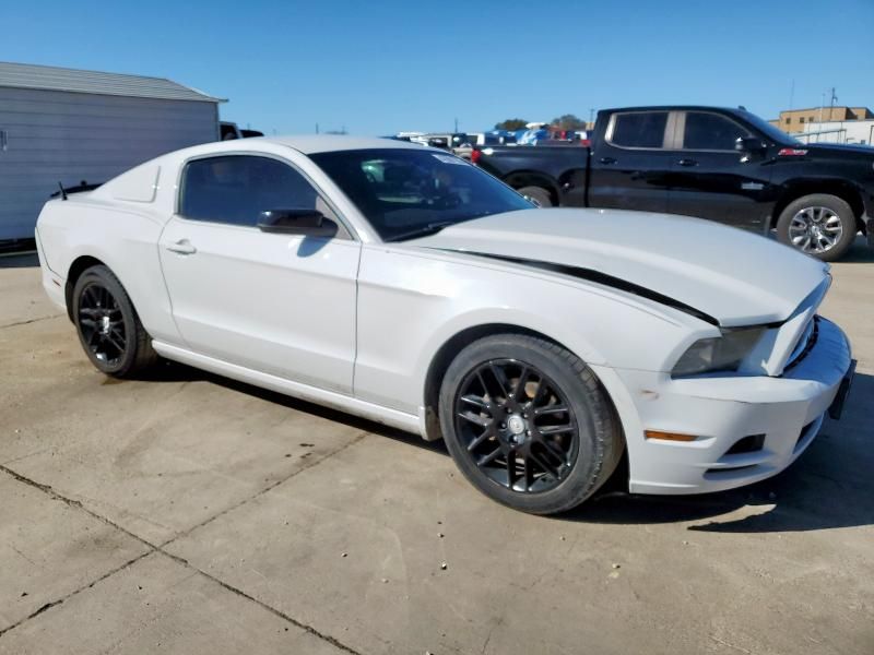 2014 Ford Mustang