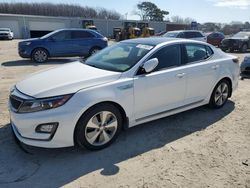 Salvage cars for sale at Hampton, VA auction: 2014 KIA Optima Hybrid