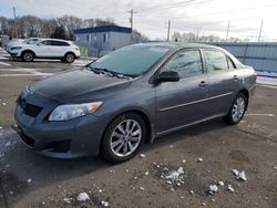 2009 Toyota Corolla Base en venta en Ham Lake, MN