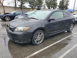 Scion salvage cars for sale: 2010 Scion TC