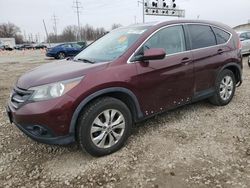 Salvage cars for sale at Columbus, OH auction: 2013 Honda CR-V EXL