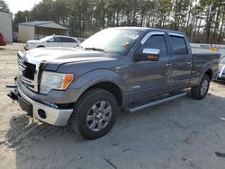 Ford salvage cars for sale: 2013 Ford F150 Supercrew