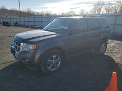 Salvage cars for sale at York Haven, PA auction: 2012 Ford Escape Limited