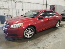 Salvage cars for sale at Avon, MN auction: 2013 Chevrolet Malibu 1LT