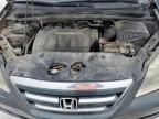 2006 Honda Odyssey EXL