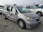 2009 Honda Odyssey EXL