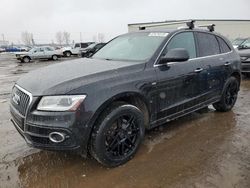 Clean Title Cars for sale at auction: 2015 Audi Q5 Progressiv