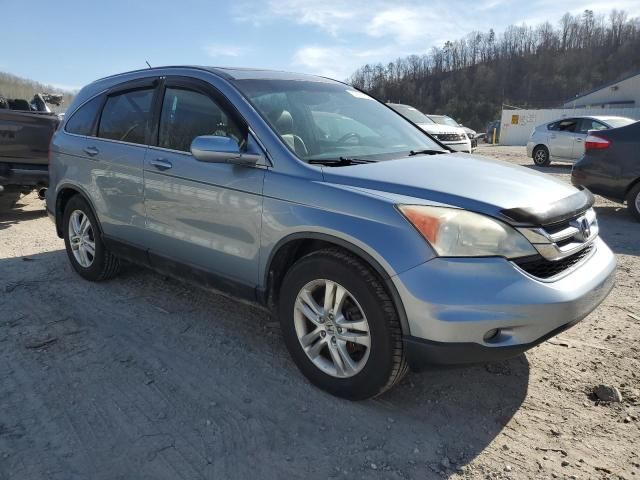 2010 Honda CR-V EXL