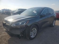 Salvage cars for sale at Houston, TX auction: 2020 Ford Escape SE