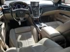 2012 Cadillac SRX Premium Collection