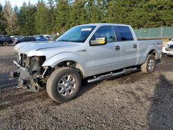 Salvage trucks for sale at Graham, WA auction: 2013 Ford F150 Supercrew