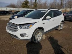 Salvage cars for sale at Davison, MI auction: 2017 Ford Escape SE