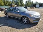 2011 Honda Accord SE