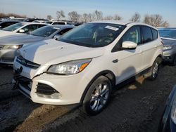 Salvage cars for sale at Pekin, IL auction: 2013 Ford Escape SEL