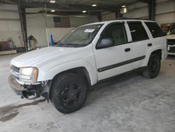 Salvage cars for sale at Greenwood, NE auction: 2004 Chevrolet Trailblazer LS