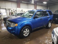 Salvage cars for sale at Elgin, IL auction: 2012 Ford Escape XLT