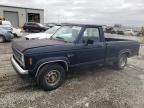 1988 Ford Ranger