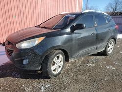 Salvage cars for sale at London, ON auction: 2011 Hyundai Tucson GLS