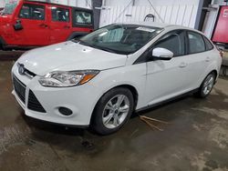 Salvage cars for sale at Ham Lake, MN auction: 2014 Ford Focus SE