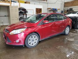 Salvage cars for sale at Ham Lake, MN auction: 2012 Ford Focus SE