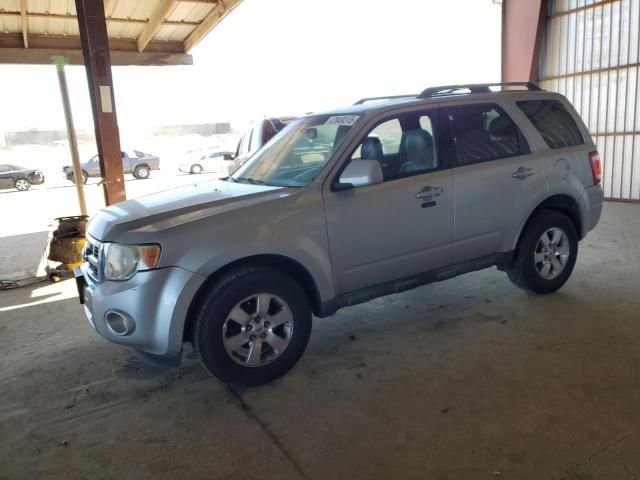 2009 Ford Escape Limited