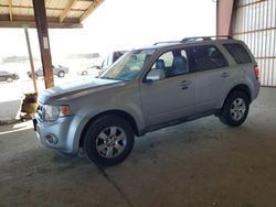 Salvage cars for sale at American Canyon, CA auction: 2009 Ford Escape Limited