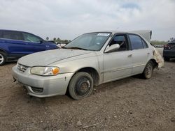 Salvage cars for sale at Mercedes, TX auction: 2001 Toyota Corolla CE