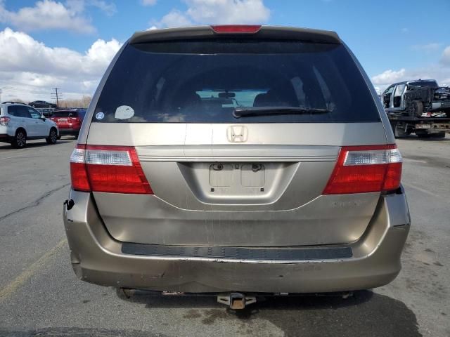 2005 Honda Odyssey EX