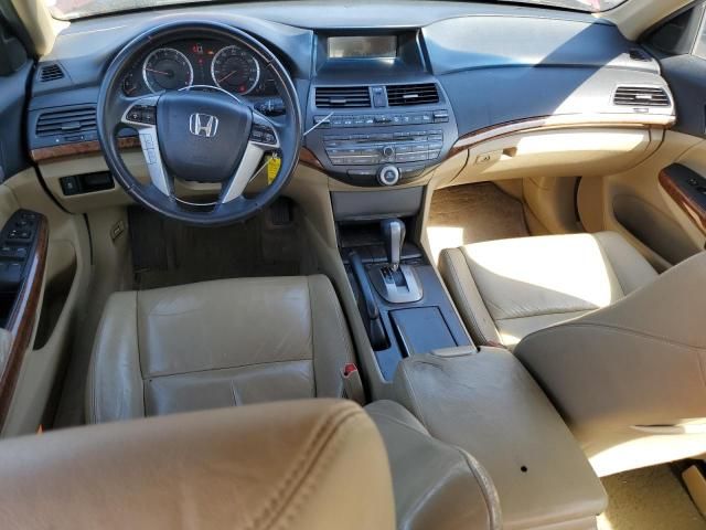 2011 Honda Accord EXL