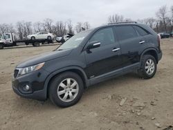 Salvage cars for sale at Baltimore, MD auction: 2011 KIA Sorento Base