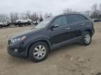 2011 KIA Sorento Base