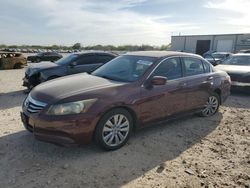 Carros salvage a la venta en subasta: 2011 Honda Accord EXL