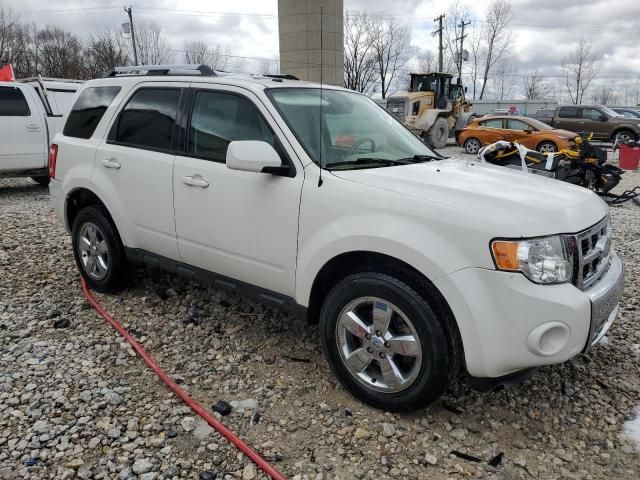 2010 Ford Escape Limited