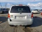 2007 Ford Escape Limited