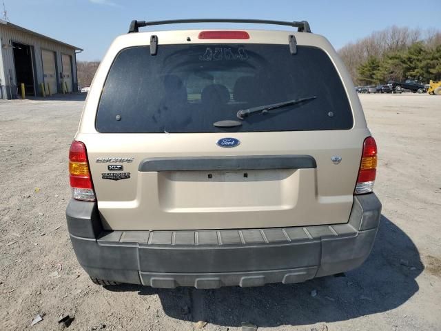 2007 Ford Escape XLT