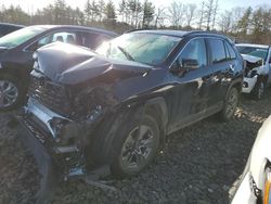 Salvage cars for sale at Windham, ME auction: 2024 Toyota Rav4 XLE