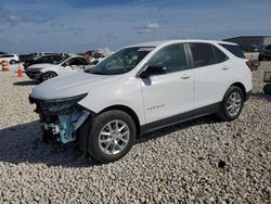 Salvage cars for sale at Taylor, TX auction: 2024 Chevrolet Equinox LS