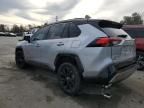 2024 Toyota Rav4 XSE