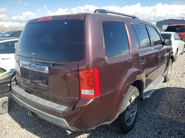 2010 Honda Pilot EXL