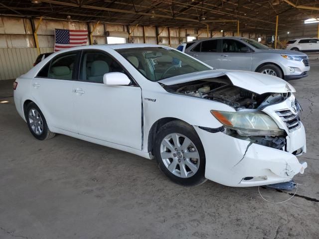 2008 Toyota Camry Hybrid